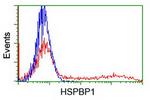 HSPBP1 Antibody in Flow Cytometry (Flow)