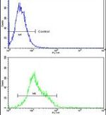 HSP105 Antibody in Flow Cytometry (Flow)