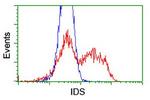 IDS Antibody in Flow Cytometry (Flow)