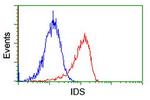 IDS Antibody in Flow Cytometry (Flow)