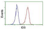 IDS Antibody in Flow Cytometry (Flow)