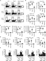 IL-4 Antibody in Flow Cytometry (Flow)