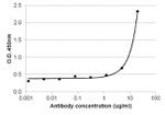 IL-4 Antibody in ELISA (ELISA)