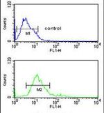 IMPDH2 Antibody in Flow Cytometry (Flow)