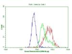 IQGAP1 Antibody in Flow Cytometry (Flow)