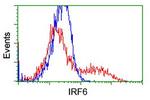 IRF6 Antibody in Flow Cytometry (Flow)