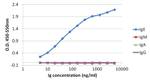 Human IgE Secondary Antibody in ELISA (ELISA)