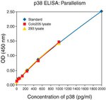 Human p38 MAPK (Total) ELISA Kit