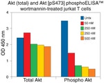 Human AKT (Phospho) [pS473] ELISA Kit