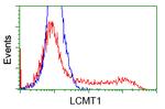 LCMT1 Antibody in Flow Cytometry (Flow)