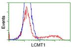 LCMT1 Antibody in Flow Cytometry (Flow)