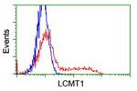 LCMT1 Antibody in Flow Cytometry (Flow)