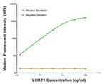 LCMT1 Antibody in Luminex (LUM)