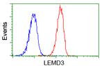 LEMD3 Antibody in Flow Cytometry (Flow)