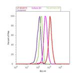 TrxR1 Antibody in Flow Cytometry (Flow)