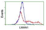 LMAN1 Antibody in Flow Cytometry (Flow)