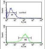 LSP1 Antibody in Flow Cytometry (Flow)