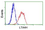 LTA4H Antibody in Flow Cytometry (Flow)