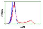 LXN Antibody in Flow Cytometry (Flow)