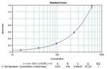 IL-12/IL-23 p40 Antibody in ELISA (ELISA)