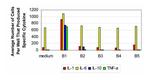 IL-1 beta Antibody in ELISA (ELISA)