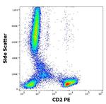 CD2 Antibody in Flow Cytometry (Flow)