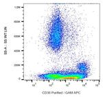 CD36 Antibody in Flow Cytometry (Flow)