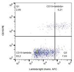 Human Lambda Light Chain Secondary Antibody in Flow Cytometry (Flow)