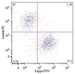 Human Lambda Light Chain Secondary Antibody in Flow Cytometry (Flow)