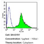 Nestin Antibody in Flow Cytometry (Flow)