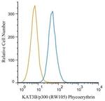 p300 Antibody in Flow Cytometry (Flow)