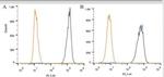 Apolipoprotein A5 Antibody in Flow Cytometry (Flow)