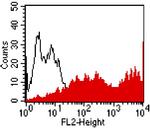 IL13RA1 Antibody in Flow Cytometry (Flow)