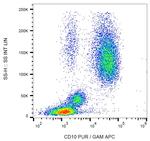 CD10 Antibody in Flow Cytometry (Flow)