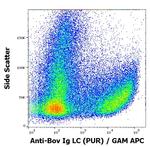 Bovine Ig (Light chain) Secondary Antibody in Flow Cytometry (Flow)