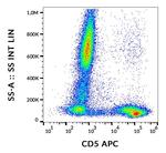 CD5 Antibody in Flow Cytometry (Flow)