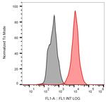 p53 Antibody in Flow Cytometry (Flow)