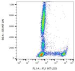 CD8 Antibody in Flow Cytometry (Flow)