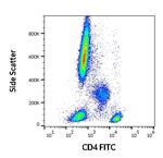 CD4 Antibody in Flow Cytometry (Flow)