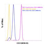 CD31 Antibody in Flow Cytometry (Flow)