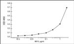 RSV Antibody in ELISA (ELISA)