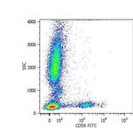 CD56 Antibody in Flow Cytometry (Flow)