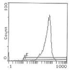 CD90 Antibody in Flow Cytometry (Flow)