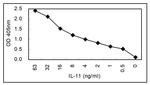 IL-11 Antibody in ELISA (ELISA)