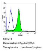 ErbB4 Antibody in Flow Cytometry (Flow)