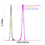 ITGB1 Antibody