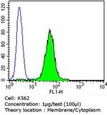 PDI Antibody in Flow Cytometry (Flow)