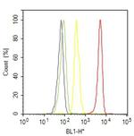 Acetylcholinesterase Antibody in Flow Cytometry (Flow)