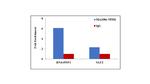 NPM1 Antibody in ChIP Assay (ChIP)