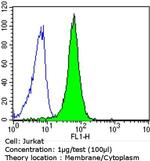 EGFR Antibody in Flow Cytometry (Flow)